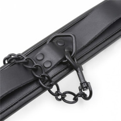 FUKR Collier Epais + Laisse